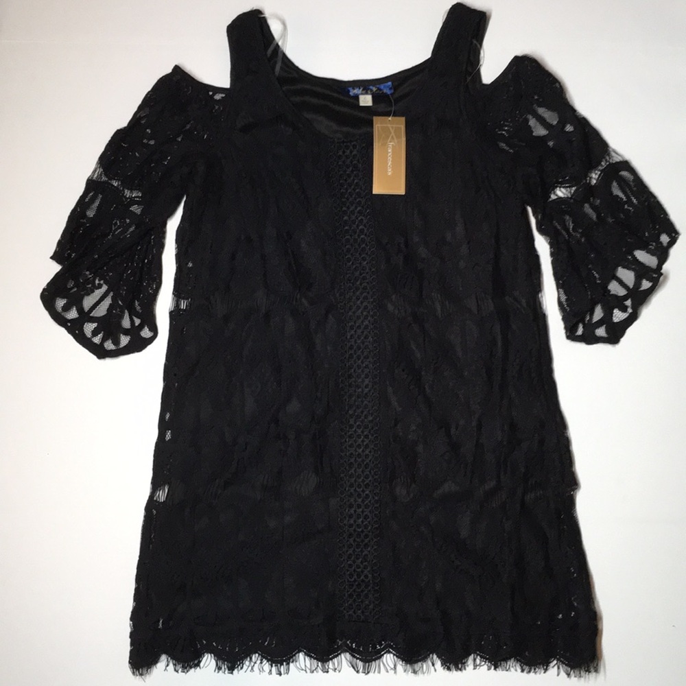 NWT - Francesca’s Lace/Embroidered Black Dress!